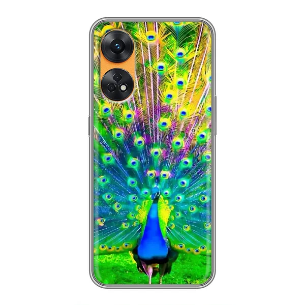 Чехол с принтом «Яркий Павлин» для OPPO Reno 8T Чехол с принтом «Яркий Павлин» для OPPO Reno 8T