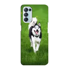 Чехол с Хаски для Oppo Reno5 4G - (AlphaPrint) (Радостный Хаски)
