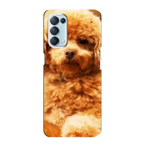 Чехлы с собаками для Oppo Reno5 4G (VPrint) (Щенок Бишон)
