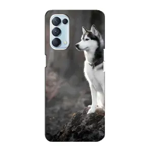 Чехол с Хаски для Oppo Reno5 4G - (AlphaPrint) (Верный пес)
