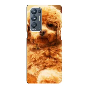 Чехлы с собаками для Oppo Reno5 Pro Plus 5G (VPrint) (Щенок Бишон)
