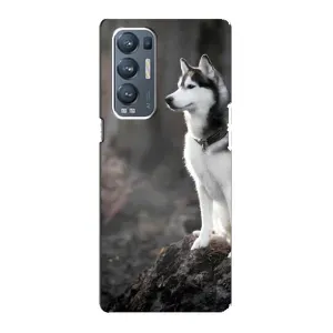 Чехол с Хаски для Oppo Reno5 Pro Plus 5G - (AlphaPrint) (Верный пес)