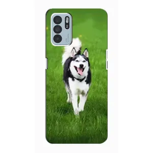 Чохол з Хаскі Oppo Reno6 Z - (AlphaPrint) (Радісний Хаскі)
