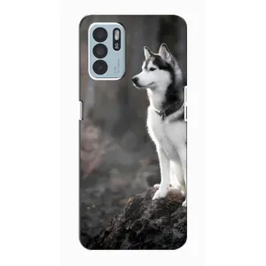 Чохол з Хаскі Oppo Reno6 Z - (AlphaPrint) (Вірний собака)