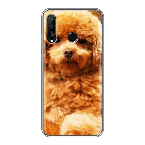 Чехол с принтом «Щенок Бишон» для Huawei P30 Lite / Nova 4e Чехол с принтом «Щенок Бишон» для Huawei P30 Lite / Nova 4e