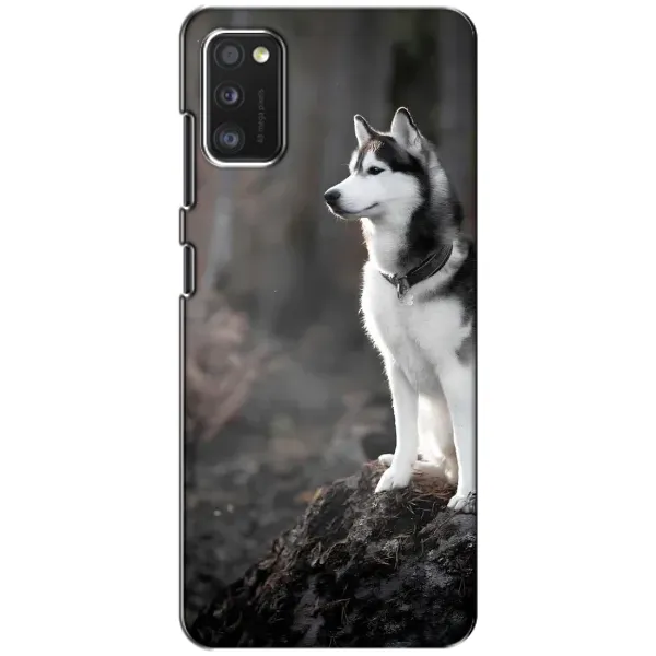 Чехол с принтом «Верный пес» для Xiaomi POCO M3