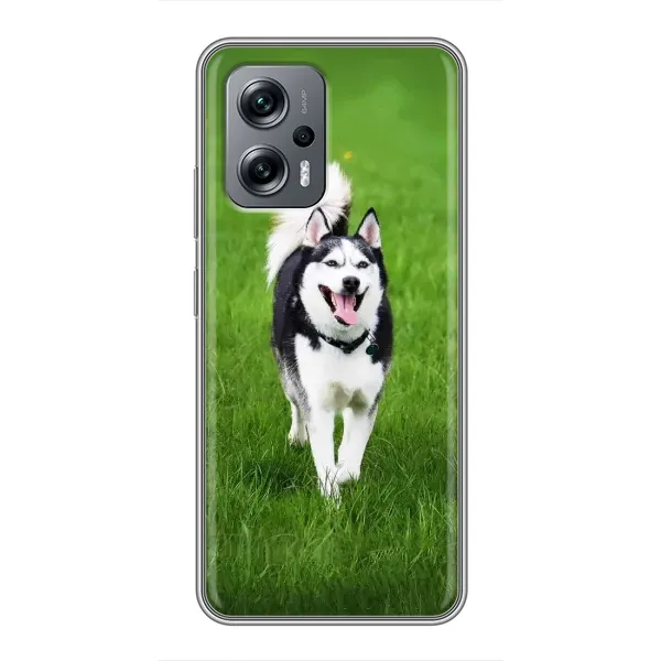 Чехол с принтом «Радостный Хаски» для Xiaomi POCO X4 GT