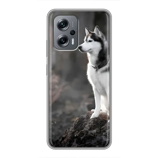 Чехол с принтом «Верный пес» для Xiaomi POCO X4 GT