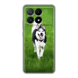 Чохол з Хаскі Xiaomi POCO X6 Pro (5G) - (AlphaPrint) (Радісний Хаскі)