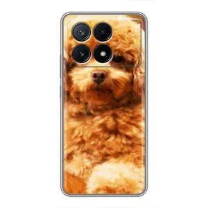 Чохли з собаками для Xiaomi POCO X6 Pro (5G) (VPrint) (Цуценя Бішон)