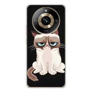 Чехол с принтом для Realme 11 Pro 5G (AlphaPrint) Модные коты (Грустный кот)