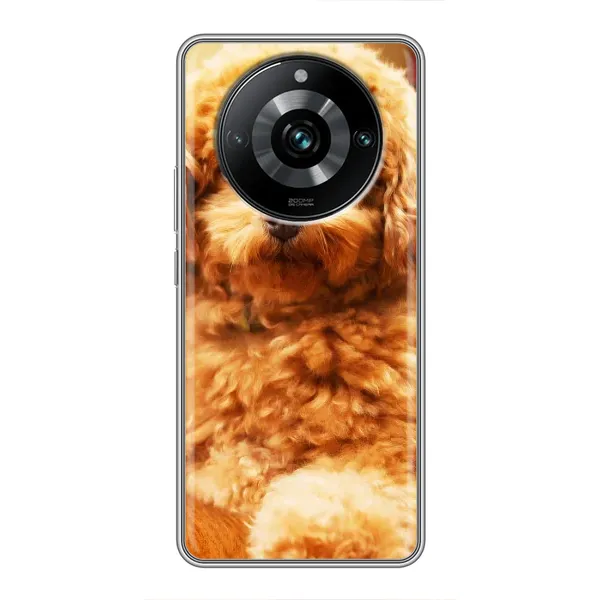 Чехол с принтом «Щенок Бишон» для Realme 11 Pro Plus