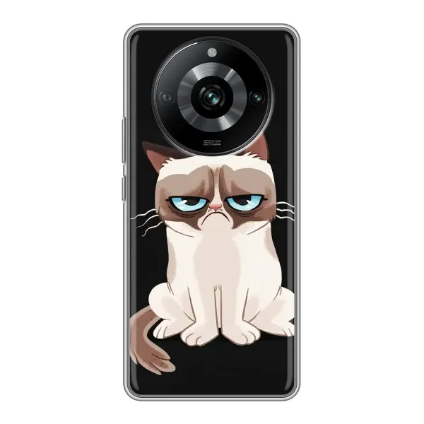 Чехол с принтом «Грустный кот» для Realme 11 Pro