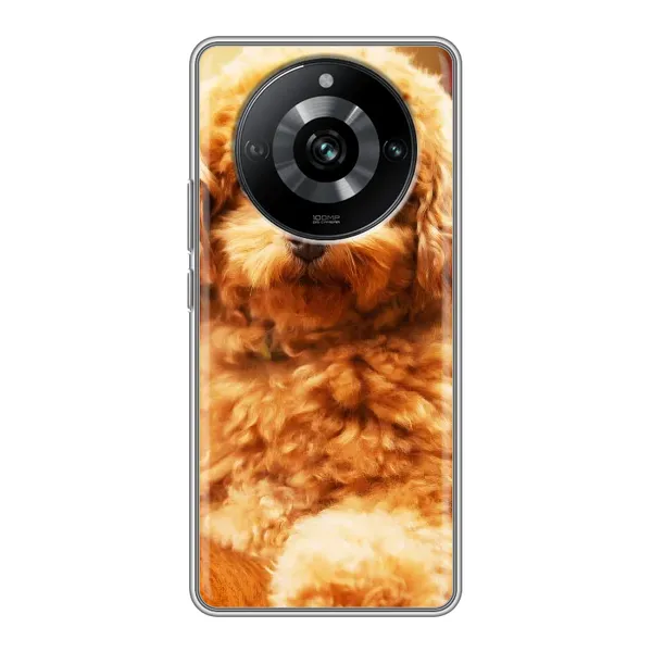 Чохол з принтом «Цуценя Бішон» для Realme 11 Pro
