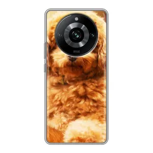 Чехлы с собаками для Realme 11 (VPrint) (Щенок Бишон)