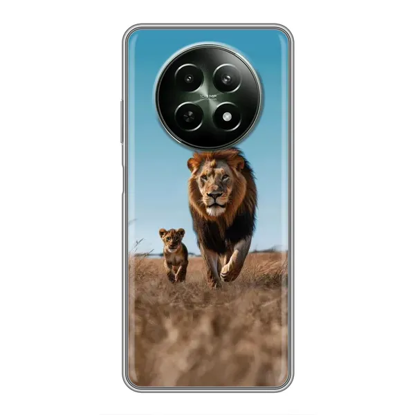 Чехол с принтом «Мусафа и Симба» для Realme 12 5G