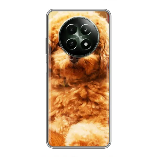 Чохол з принтом «Цуценя Бішон» для Realme 12 5G