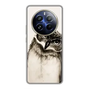 Чехол с птицами на Realme 12 Pro Plus (VPrint) (Сова)