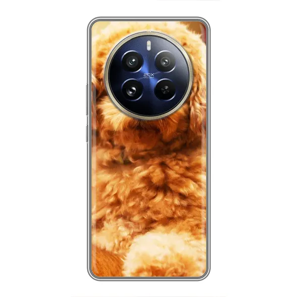 Чехол с принтом «Щенок Бишон» для Realme 12 Pro