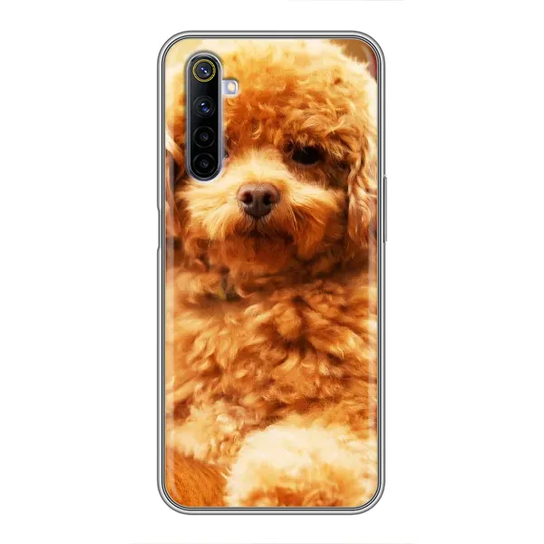 Чехол с принтом «Щенок Бишон» для Realme 6