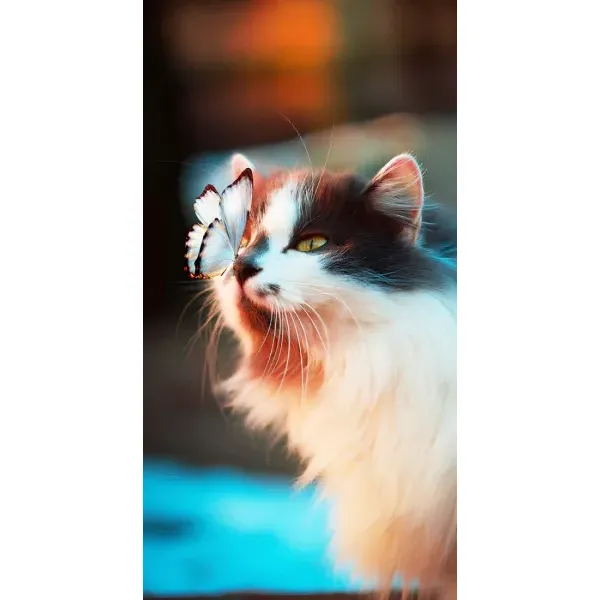 Чехол с принтом «Котик с бабочкой» для Realme C21Y Чехол с принтом «Котик с бабочкой» для Realme C21Y