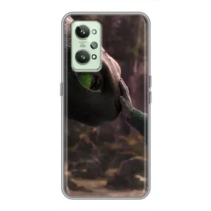 Чохол як приборкати дракона на Realme GT2 (Сцена з драконом)