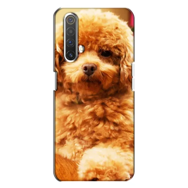 Чехол с принтом «Щенок Бишон» для Realme X3 Чехол с принтом «Щенок Бишон» для Realme X3