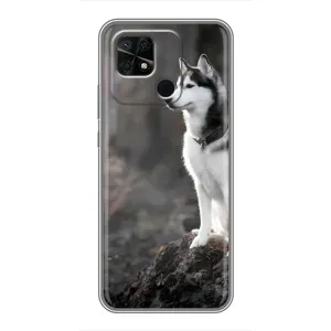 Чохол з Хаскі Xiaomi Redmi 10C - (AlphaPrint) (Вірний собака)
