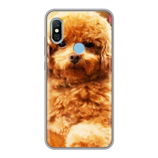 Чехол с принтом «Щенок Бишон» для Xiaomi Redmi 6 pro Чехол с принтом «Щенок Бишон» для Xiaomi Redmi 6 pro