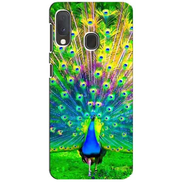 Чохол з принтом «Яскравий Павлин» для Samsung Galaxy A20e