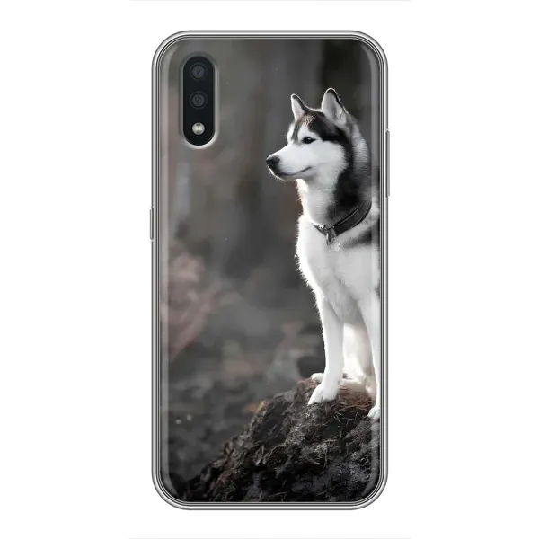 Чехол с принтом «Верный пес» для Samsung Galaxy A01 Чехол с принтом «Верный пес» для Samsung Galaxy A01