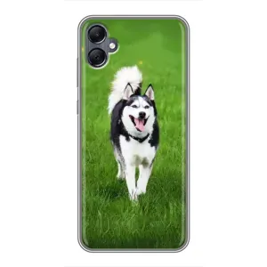 Чехол с Хаски для Samsung Galaxy A05 - (AlphaPrint) (Радостный Хаски)