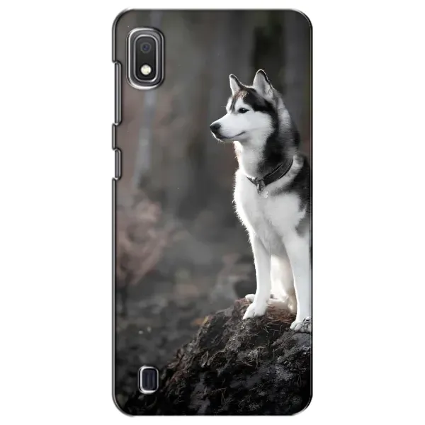 Чохол з принтом «Вірний собака» для Samsung Galaxy A10 2019 (A105F) Чохол з принтом «Вірний собака» для Samsung Galaxy A10 2019 (A105F)