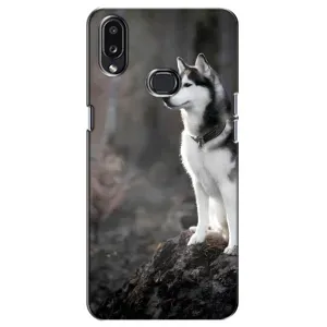 Чехол с Хаски для Samsung Galaxy A10s (A107) - (AlphaPrint) (Верный пес)