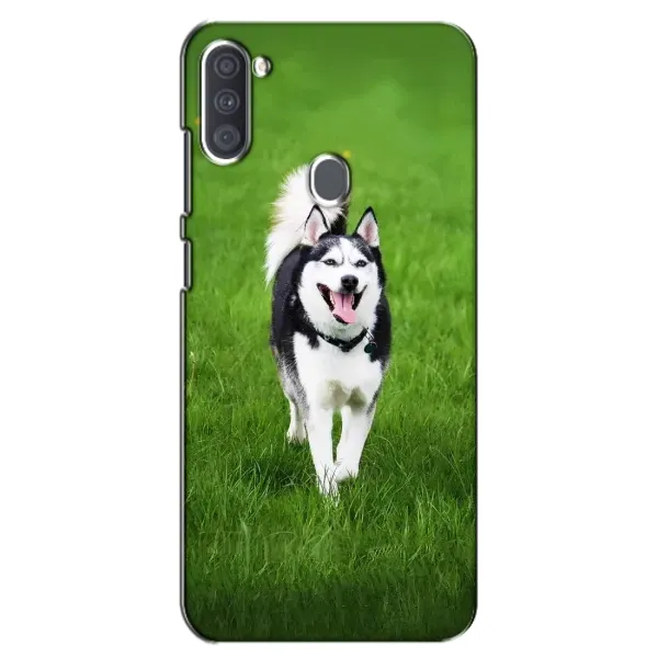 Чехол с принтом «Радостный Хаски» для Samsung Galaxy A11 (A115) Чехол с принтом «Радостный Хаски» для Samsung Galaxy A11 (A115)