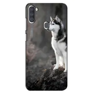 Чехол с Хаски для Samsung Galaxy A11 (A115) - (AlphaPrint) (Верный пес)