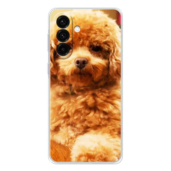 Чехол с принтом «Щенок Бишон» для Samsung Galaxy A17