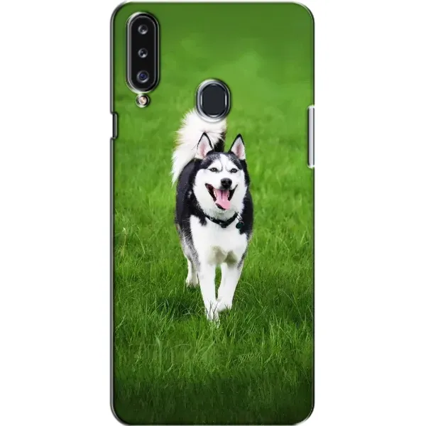 Чехол с принтом «Радостный Хаски» для Samsung Galaxy A20s (A207) Чехол с принтом «Радостный Хаски» для Samsung Galaxy A20s (A207)