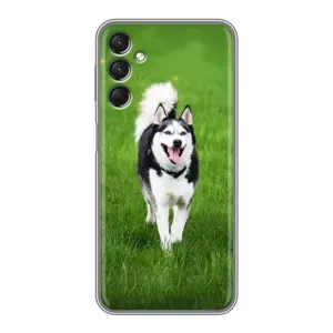 Чехол с Хаски для Samsung Galaxy A24 - (AlphaPrint) (Радостный Хаски)