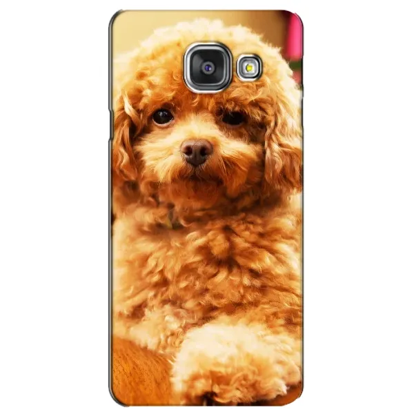Чехол с принтом «Щенок Бишон» для Samsung Galaxy A3 2016 (A3100, A310F)