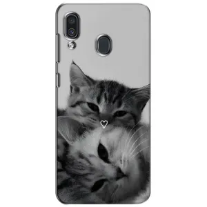 Чохол з принтом «Пара котів» для Samsung Galaxy A30 2019 (A305F)