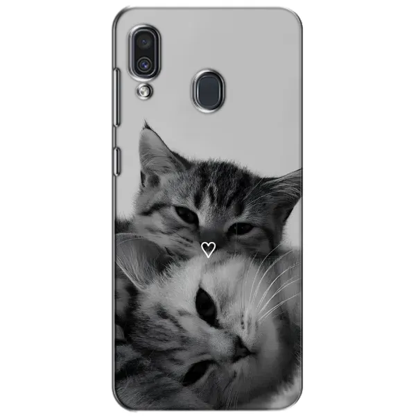 Чохол з принтом «Пара котів» для Samsung Galaxy A30 2019 (A305F)