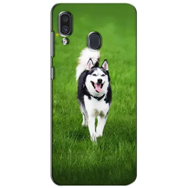 Чехол с принтом «Радостный Хаски» для Samsung Galaxy A30 2019 (A305F) Чехол с принтом «Радостный Хаски» для Samsung Galaxy A30 2019 (A305F)