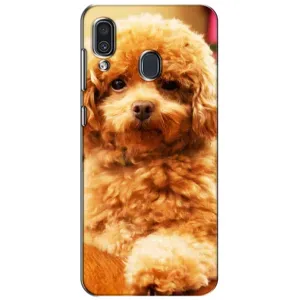 Чехлы с собаками для Samsung Galaxy A30 2019 (A305F) (VPrint) (Щенок Бишон)