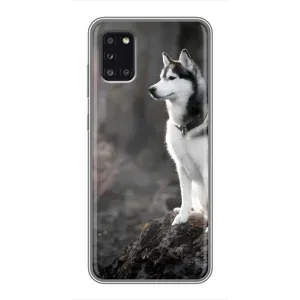 Чохол з Хаскі Samsung Galaxy A31 (A315) - (AlphaPrint) (Вірний собака)
