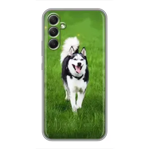 Чохол з Хаскі Samsung Galaxy A34 - (AlphaPrint) (Радісний Хаскі)