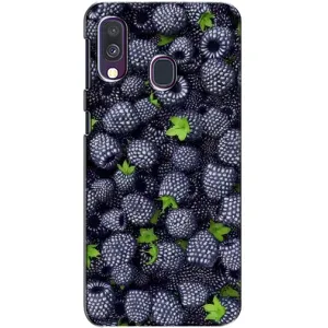 Чохли з фруктами для Samsung Galaxy A40 2019 (A405F) (VPrint) (Ожина)