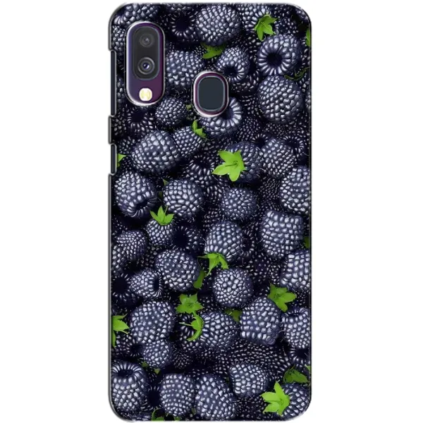 Чехол с принтом «Ежевика» для Samsung Galaxy A40 2019 (A405F) Чехол с принтом «Ежевика» для Samsung Galaxy A40 2019 (A405F)