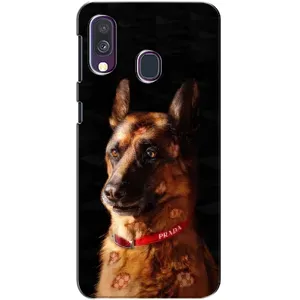Чохли з картинкою животних Samsung Galaxy A40 2019 (A405F) (Овчарка)