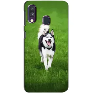 Чохол з Хаскі Samsung Galaxy A40 2019 (A405F) - (AlphaPrint) (Радісний Хаскі)